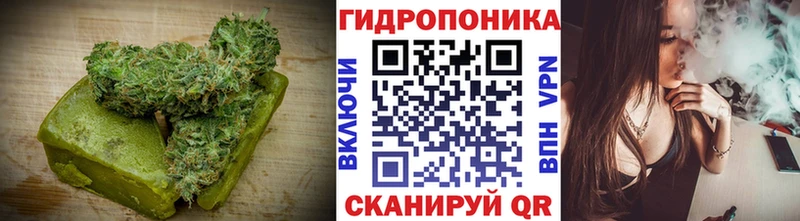 Купить закладки  Суджа  Еда ТГК марихуана 