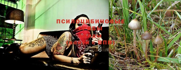mix Струнино