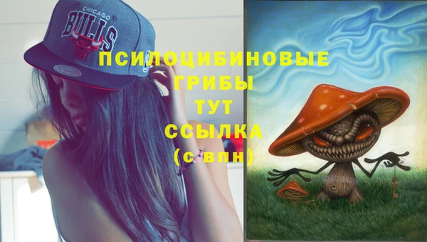 спиды Ступино