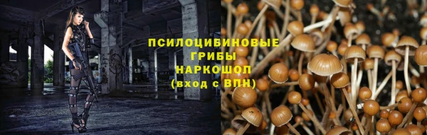 спиды Ступино